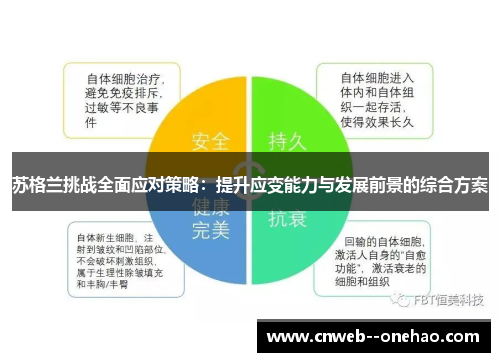 苏格兰挑战全面应对策略：提升应变能力与发展前景的综合方案