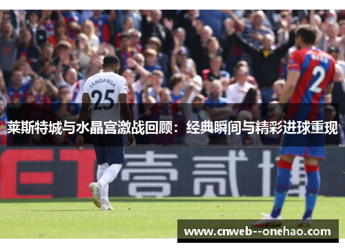 莱斯特城与水晶宫激战回顾：经典瞬间与精彩进球重现