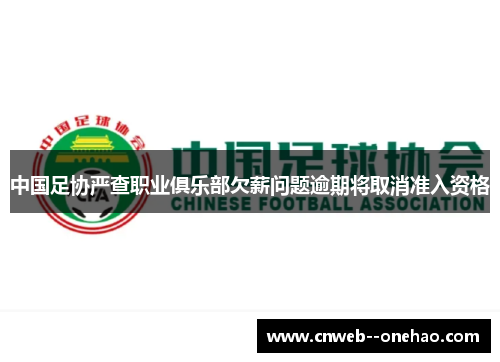 中国足协严查职业俱乐部欠薪问题逾期将取消准入资格 中国足协严查职业俱乐部欠薪问题逾期将取消准入资格