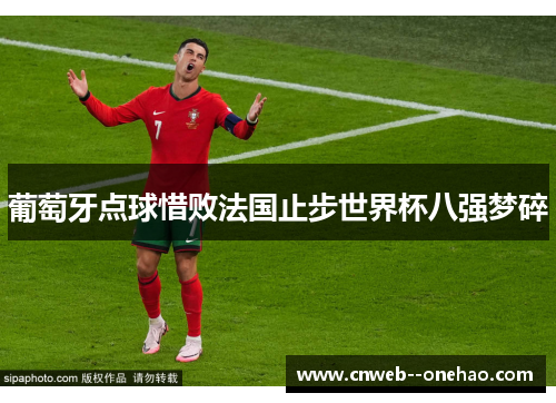 葡萄牙点球惜败法国止步世界杯八强梦碎