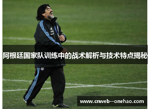 阿根廷国家队训练中的战术解析与技术特点揭秘