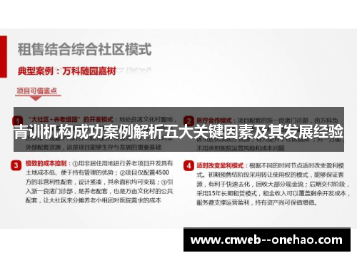 青训机构成功案例解析五大关键因素及其发展经验