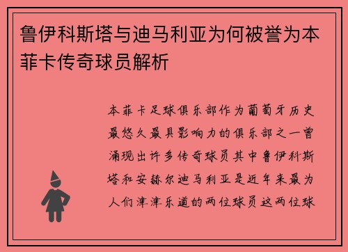 鲁伊科斯塔与迪马利亚为何被誉为本菲卡传奇球员解析